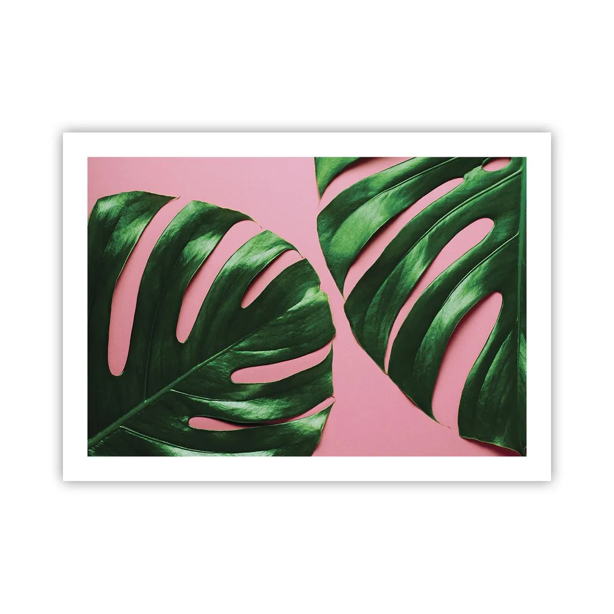 Affisch - Grön rendez-vous - 70x50 cm