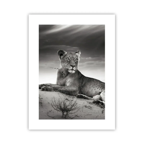 Affisch - Öknens drottnings vila - 30x40 cm