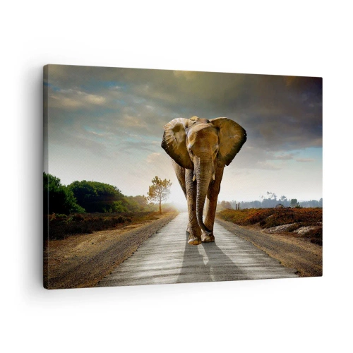 Canvastavla - Bild på duk - En elefant som går längs en väg genom ett landskap vid solnedgången - 70x50cm - Inte alls i en porslinsbutik - Modern väggdekoration för vardagsrum och sovrum ARTTOR