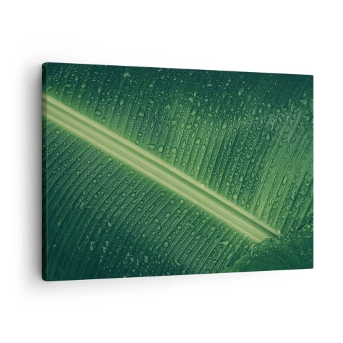 Canvastavla - Bild på duk - Ett grönt blad med vattendroppar på ytan - 70x50cm - Grönskans struktur - Modern väggdekoration för vardagsrum och sovrum ARTTOR