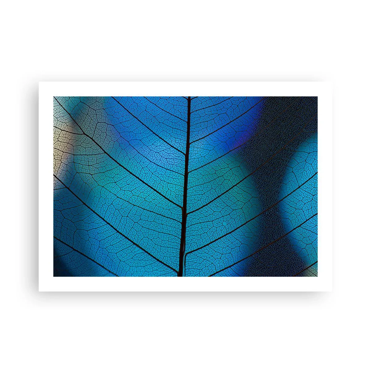 Affisch - Invecklad konstruktion - 70x50 cm