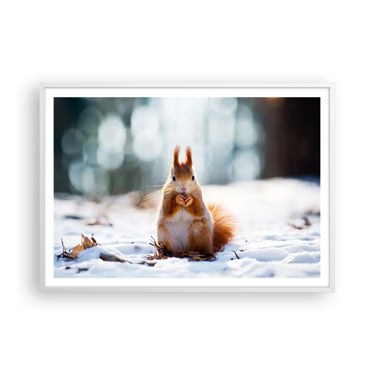 Affisch i vit ram - Vad glor du på? - 100x70 cm