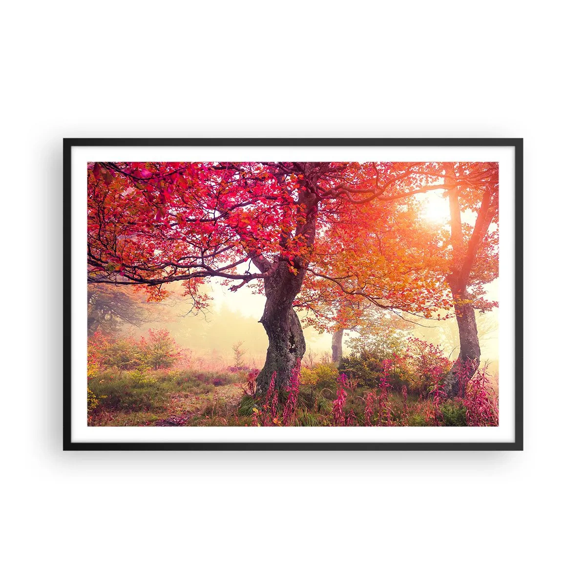 Affisch i svart ram - Våldsam blommande - 91x61 cm