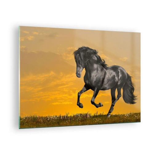 Glastavla - Bild på glas - En svart häst galopperar mot den nedgående solen - 70x50cm - Vacker, fri och vild - Modern väggdekoration för vardagsrum och sovrum ARTTOR