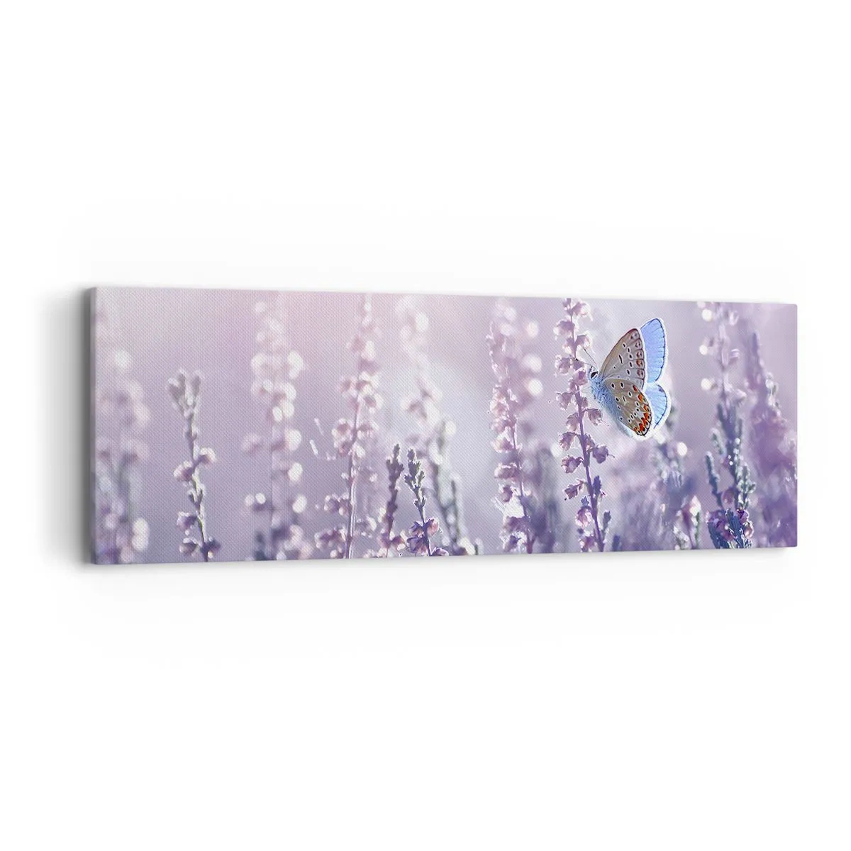 Canvastavla - Bild på duk - En fjärils kyss - 90x30 cm