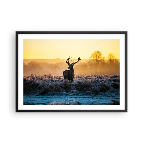 Affisch i svart ram - Krönt på sin mark - 70x50 cm