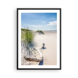 Affisch i svart ram - Strand med sanddyner, gräs och grenar i solljuset - 50x70cm - Vackrast? Östersjöstrand - Modern väggdekoration för vardagsrum och sovrum ARTTOR
