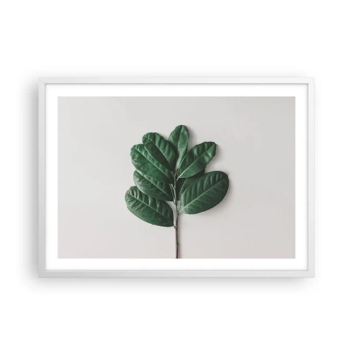 Affisch i vit ram - Själva naturens bild - 70x50 cm