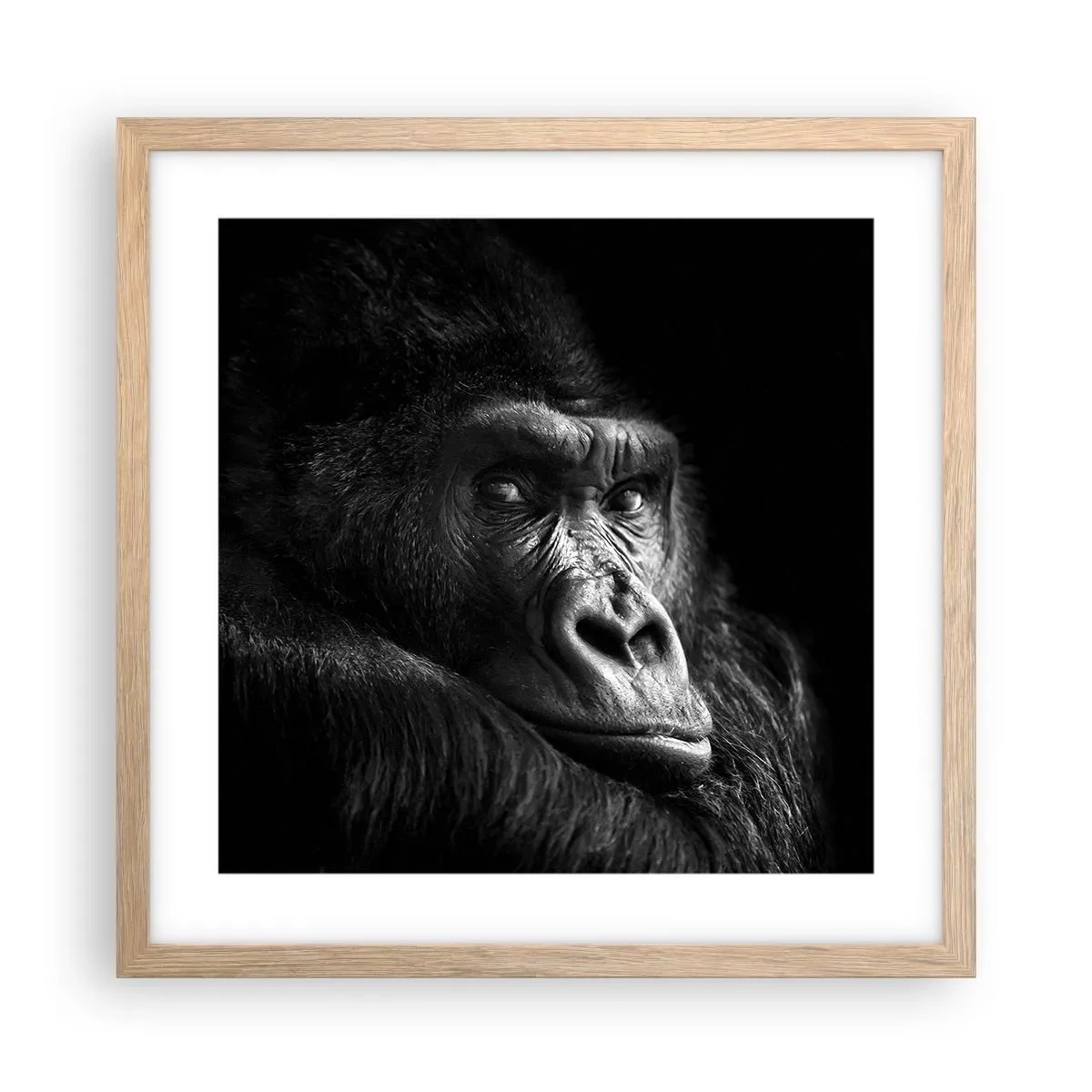 Affisch i ram av ljusek - Varför glor du? - 40x40 cm