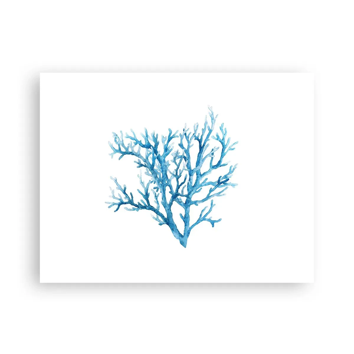 Affisch - Marin filigran - 40x30 cm