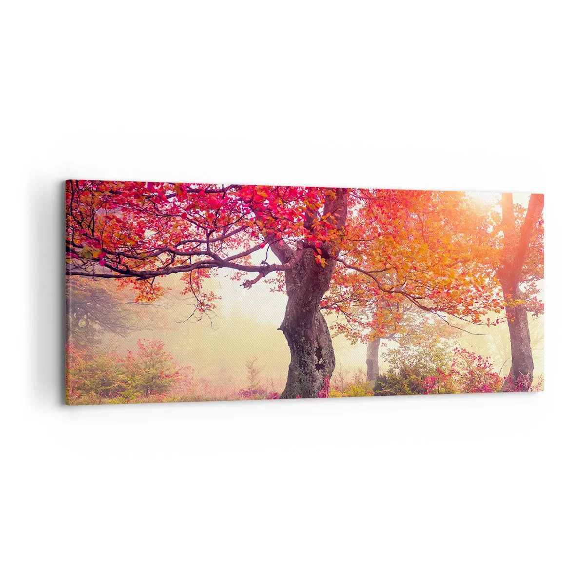 Canvastavla - Bild på duk - Våldsam blommande - 120x50 cm