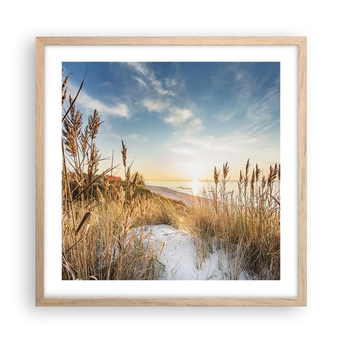 Affisch i ram av ljusek - Nordlig strand - 50x50 cm