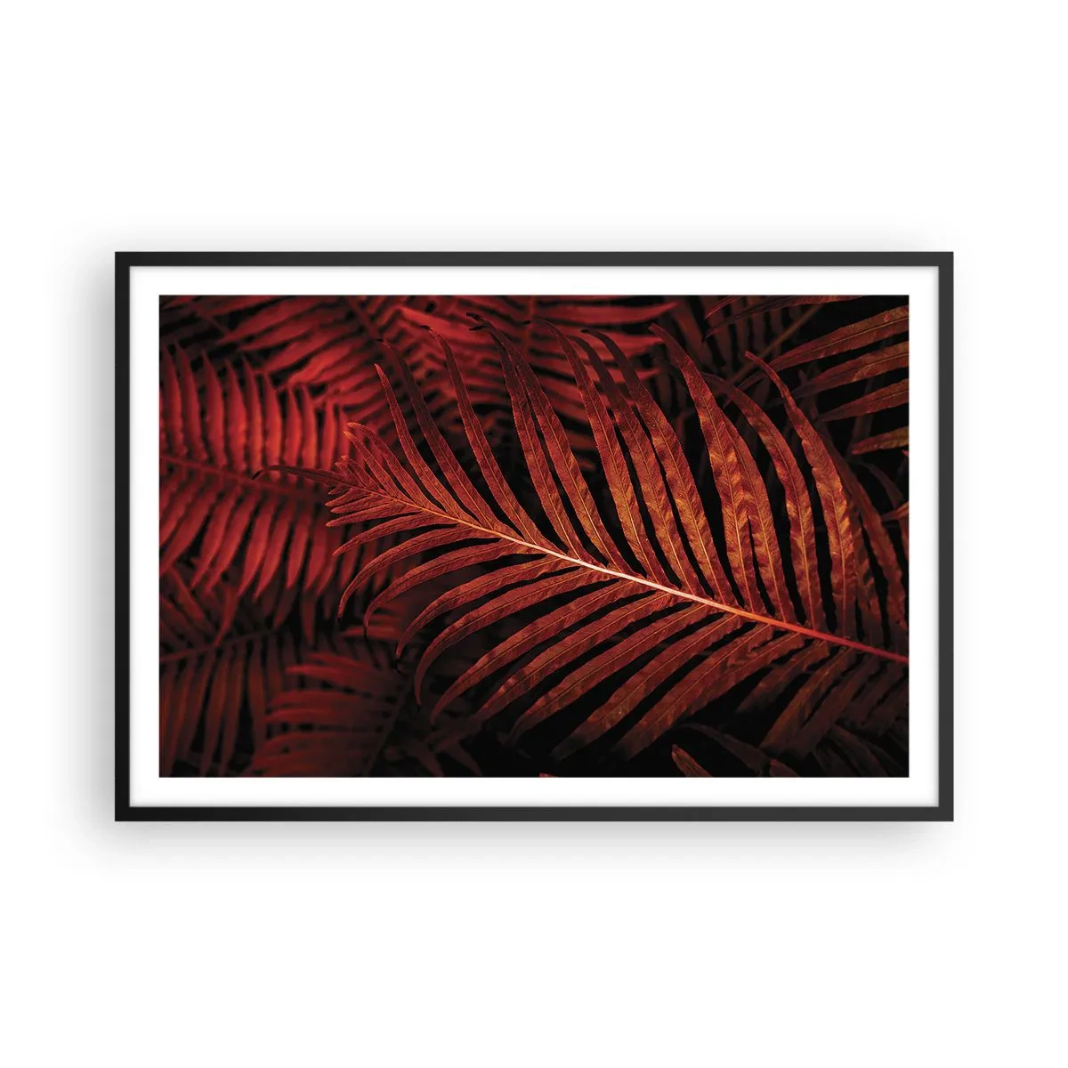 Affisch i svart ram - Livets glöd - 91x61 cm