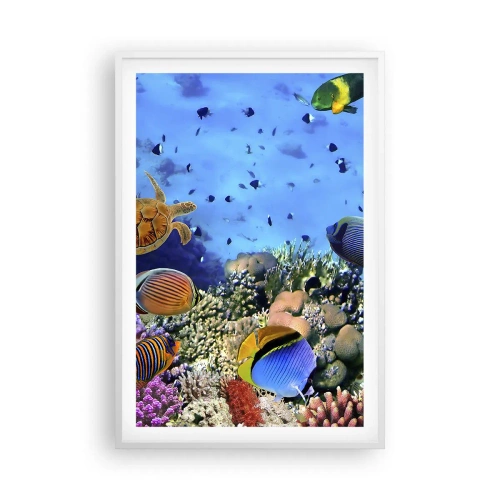 Affisch i vit ram - Vad vet vi om livet... - 61x91 cm