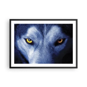 Affisch i svart ram - Hypnotiserade titt - 70x50 cm