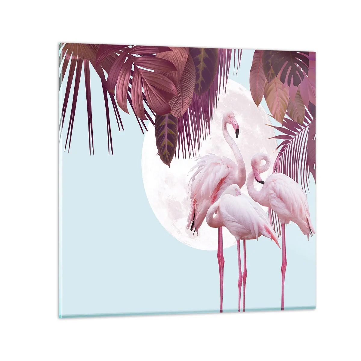 Glastavla - Bild på glas - De tre fågelgracena - 70x70 cm