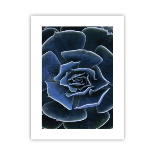 Affisch - Öknens blomma - 30x40 cm