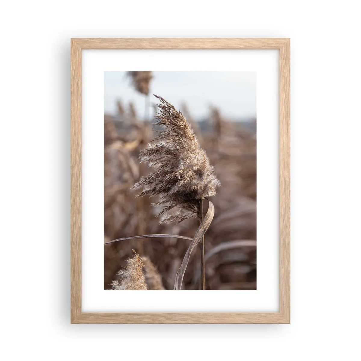 Affisch i ram av ljusek - Dags att flyga bort med vinden - 30x40 cm