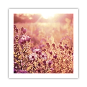 Affisch - Innan sommaren går bort - 50x50 cm