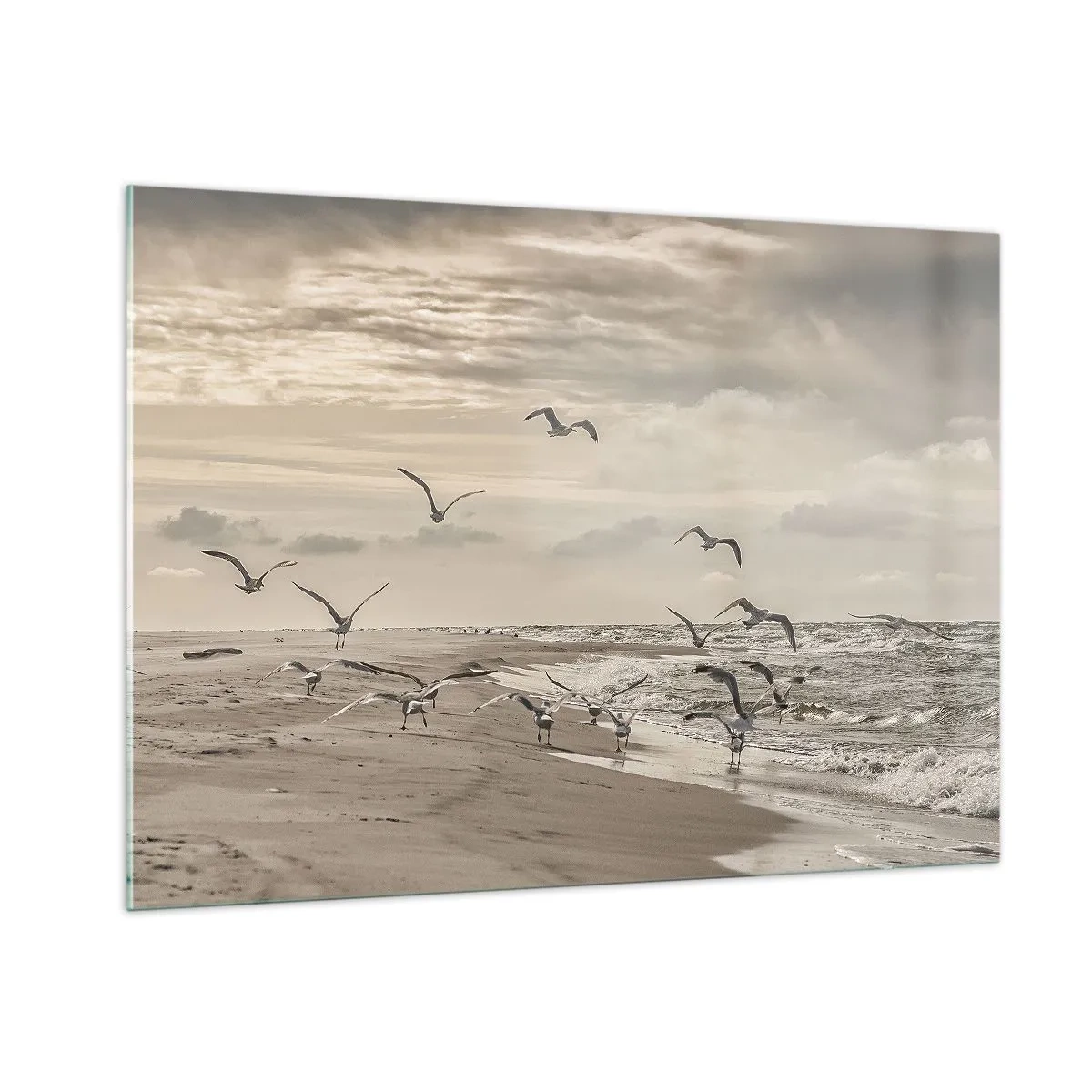 Glastavla - Bild på glas - Havets brus, fågelsång - 100x70 cm