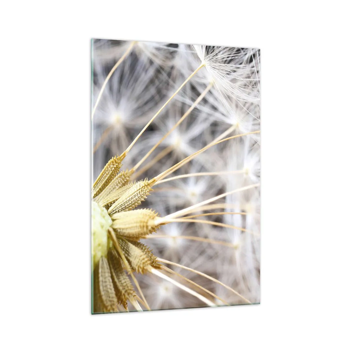 Glastavla - Bild på glas - Klar att lyfta - 70x100 cm