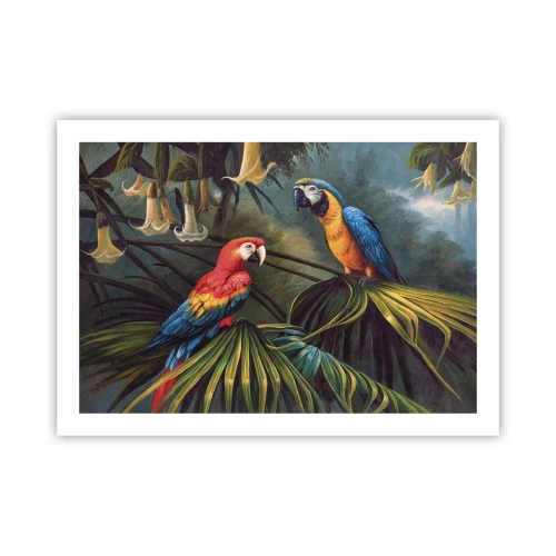 Affisch - Romantiken i tropikerna - 70x50 cm