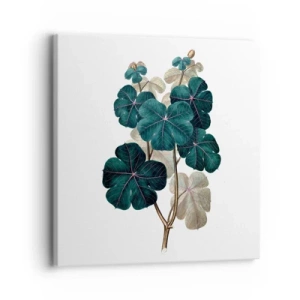 Canvastavla - Bild på duk - Från ett gammalt herbarium - 30x30 cm