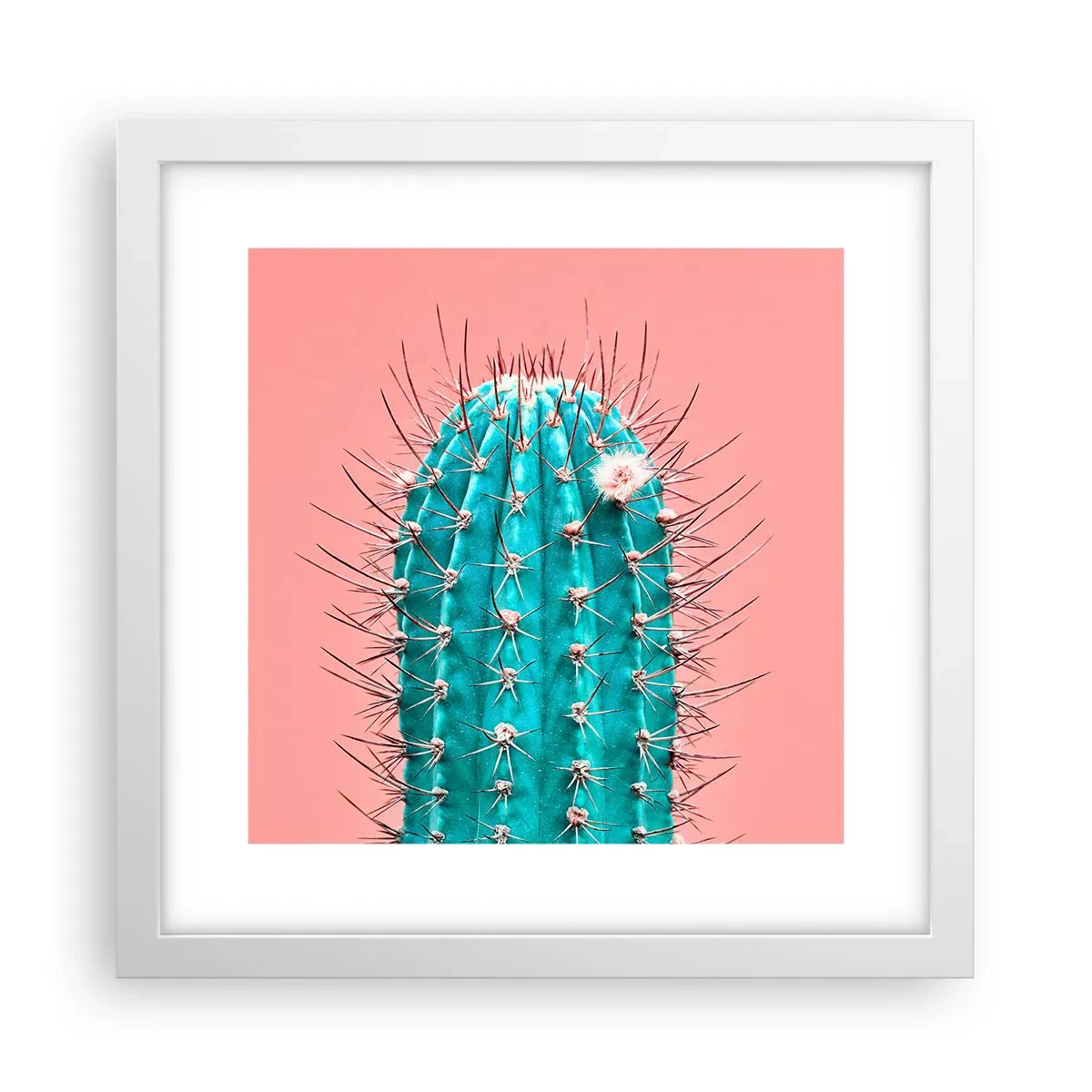 Affisch i vit ram - Titta bara - 30x30 cm