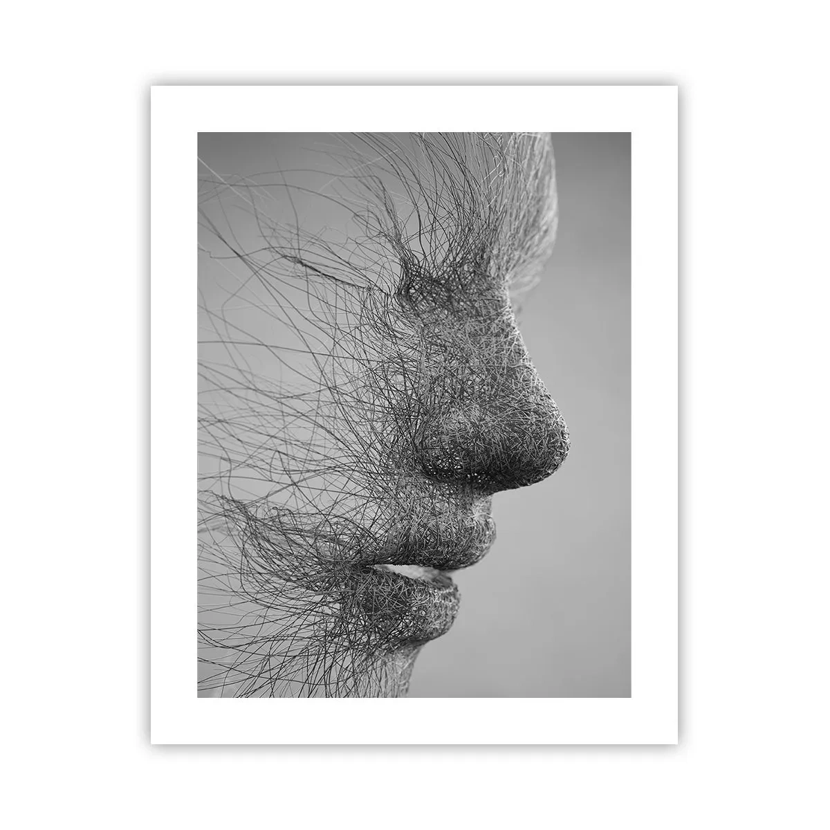 Affisch - Vindens ande - 40x50 cm