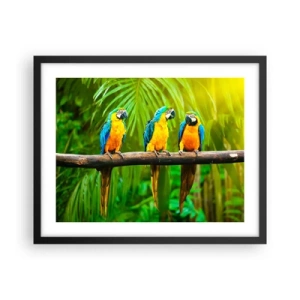 Affisch i svart ram - Har du hört att hon...? - 50x40 cm