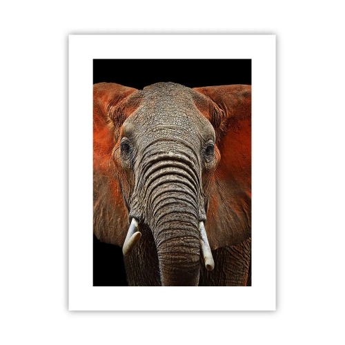 Affisch - Jag är vild, och du? - 30x40 cm