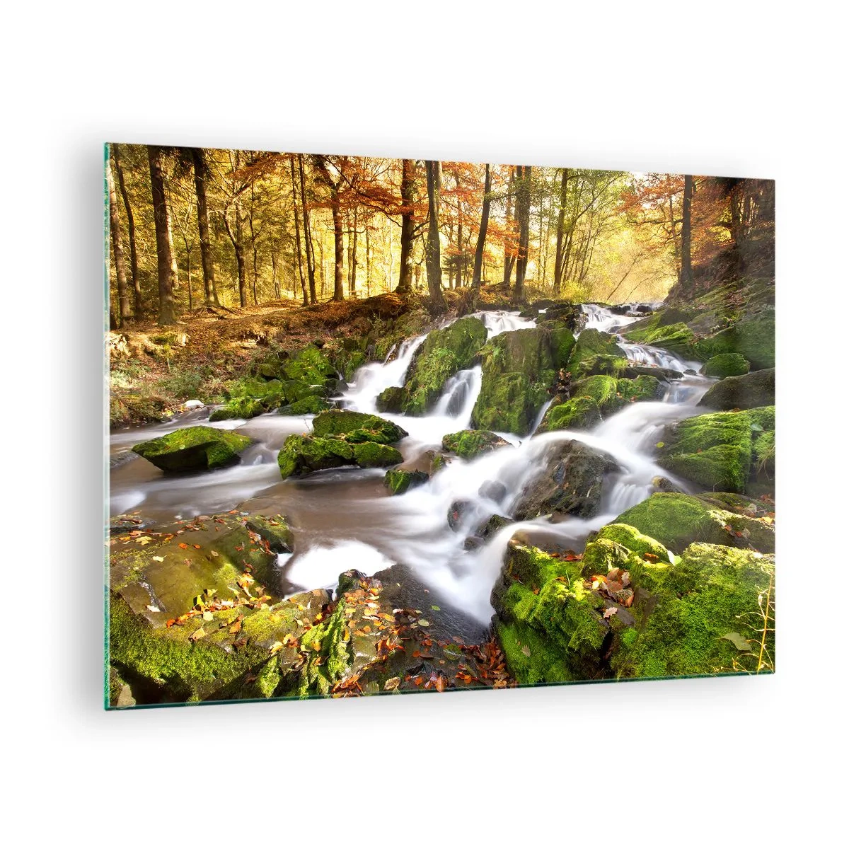 Glastavla - Bild på glas - En skogsbäck med vattenfall i ett höstlandskap - 70x50cm - Kvickt genom höstskogen - Modern väggdekoration för vardagsrum och sovrum ARTTOR