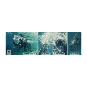Provbit av fototapet Premium Canvas - Alla tycker om att simma - Abstraktion, Elefant, Bit - 100x30 cm