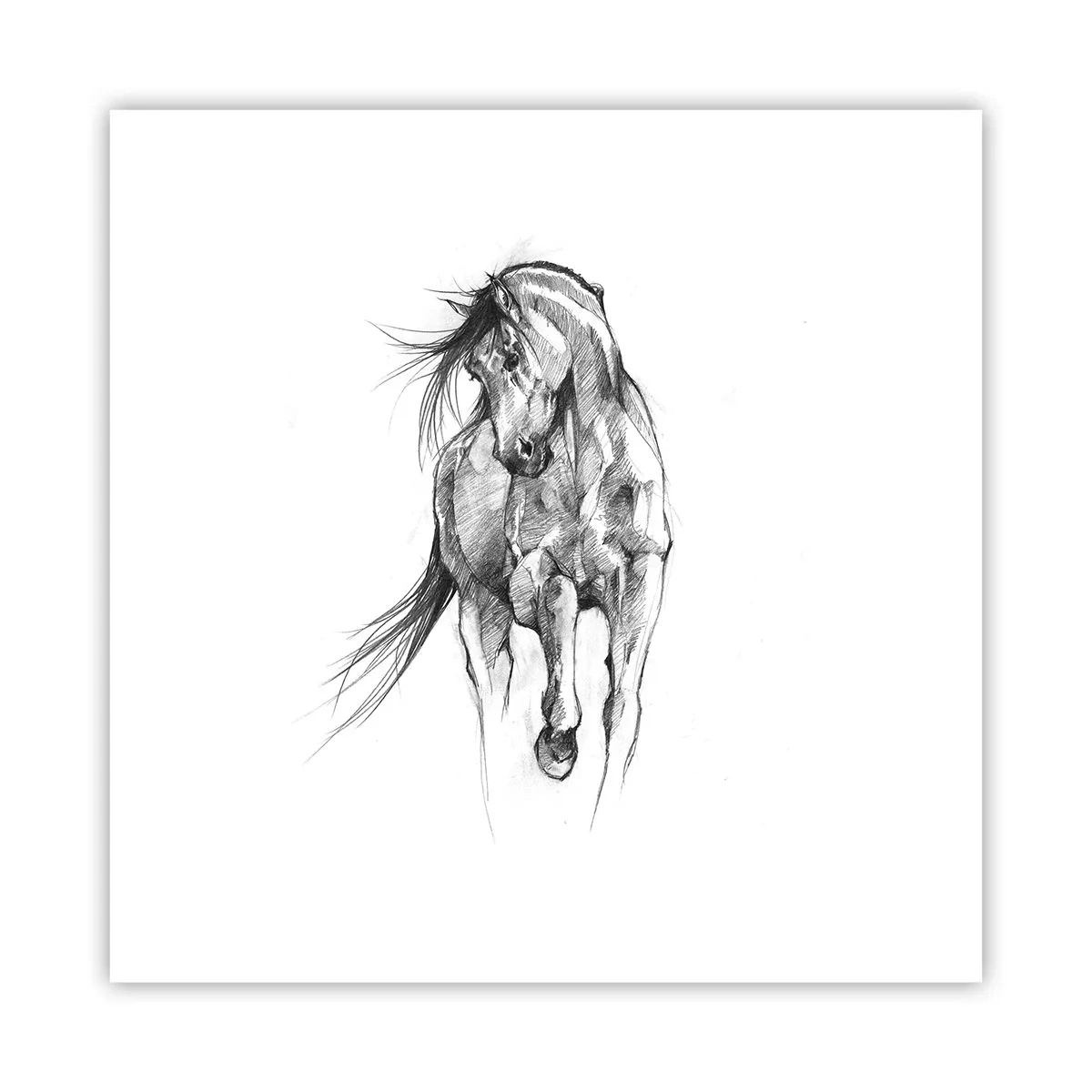 Affisch - Elegant trav - 30x30 cm