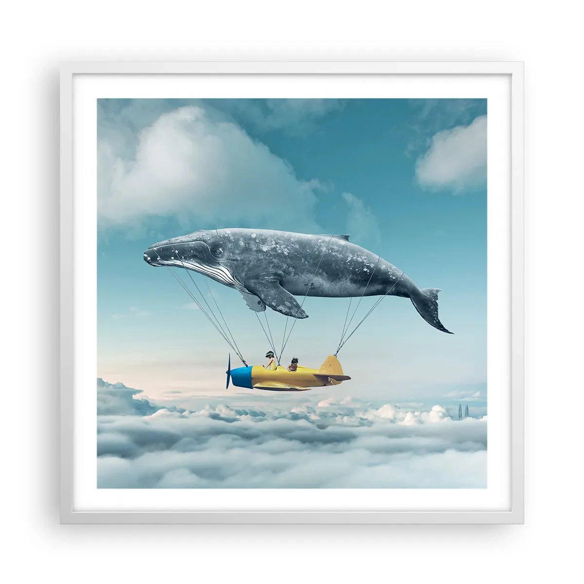 Affisch i vit ram - Varför inte? - 60x60 cm