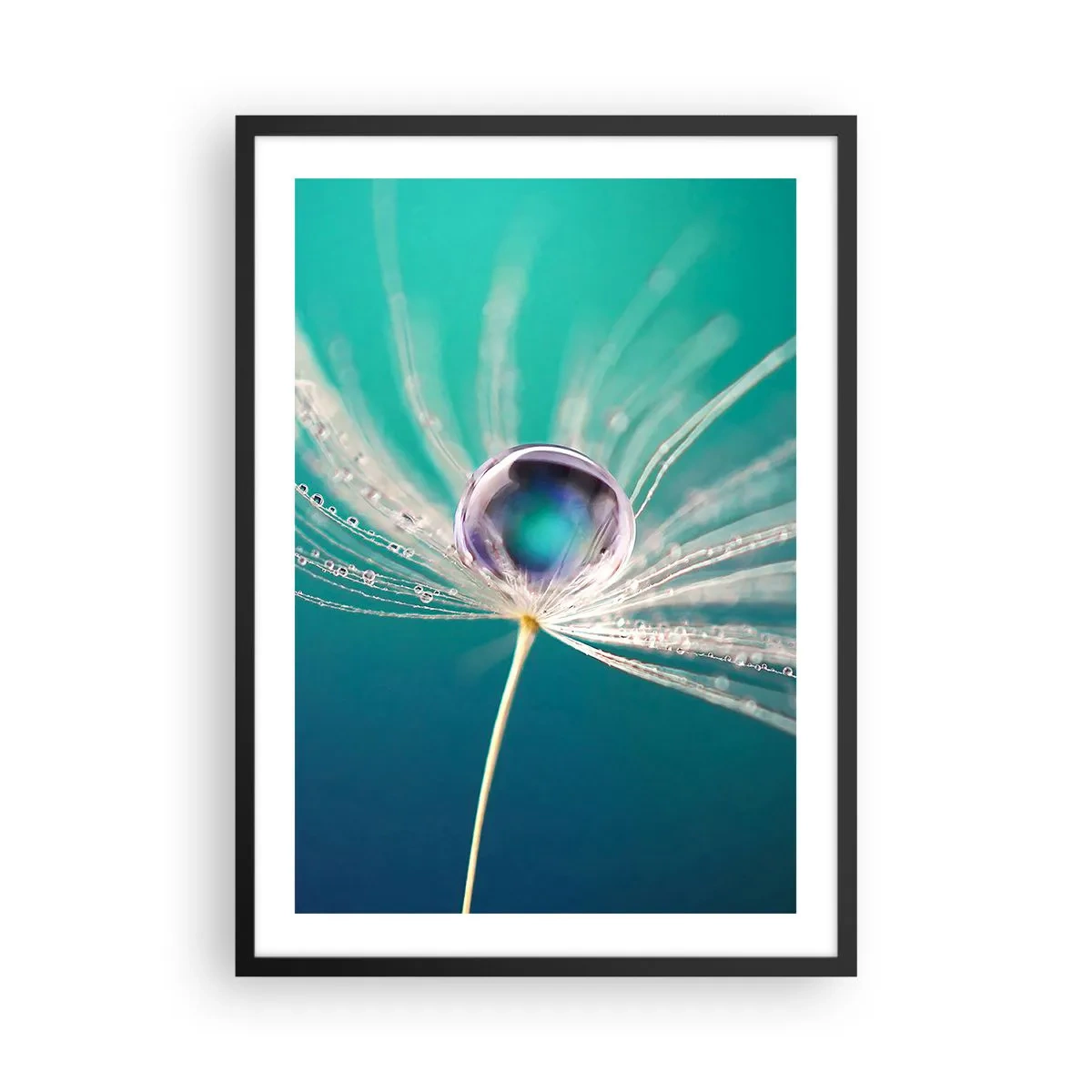 Affisch i svart ram - Makrofotografi av en vattendroppe på en maskros - 50x70cm - Mystisk stund - Modern väggdekoration för vardagsrum och sovrum ARTTOR