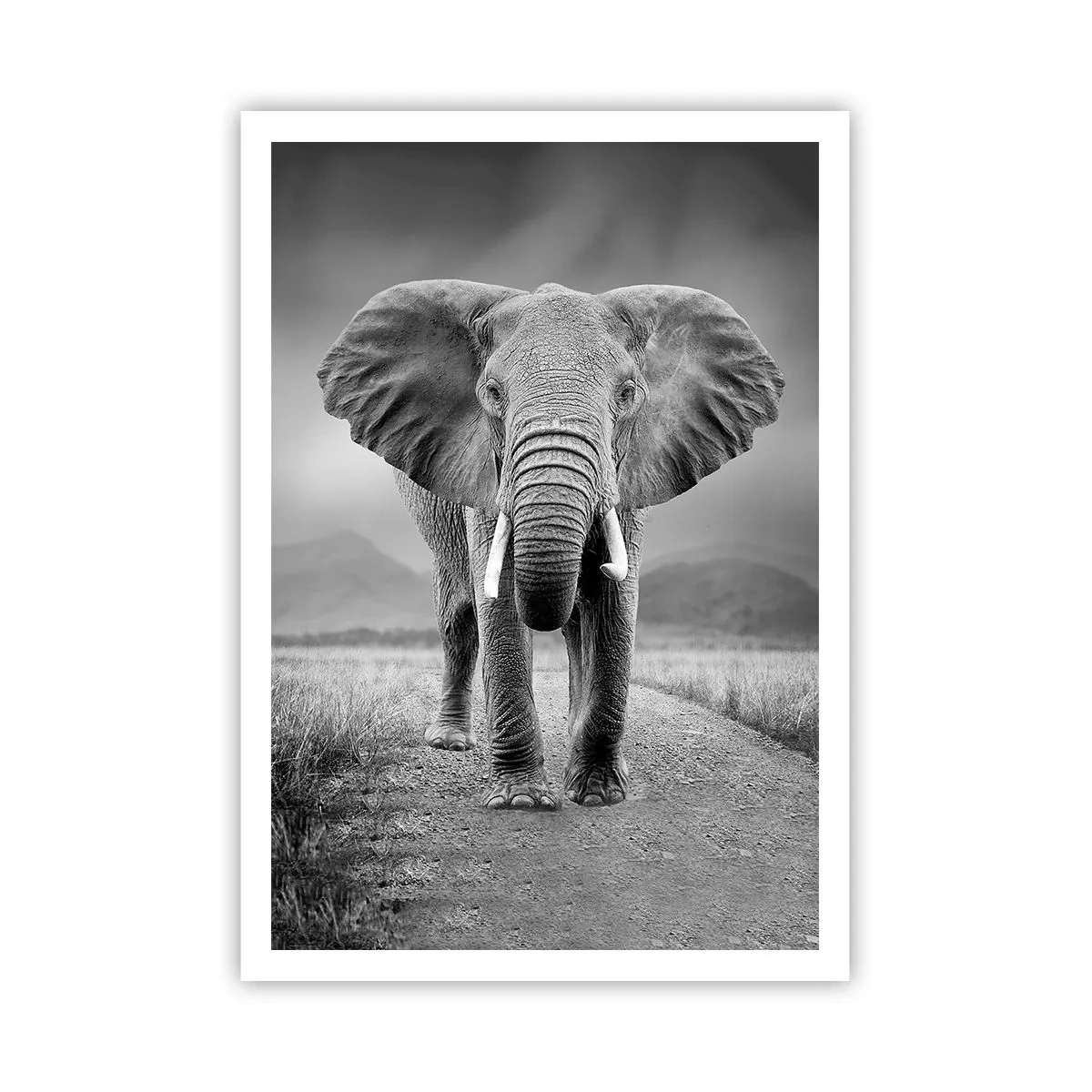 Affisch - Värden hälsar välkommen - 70x100 cm