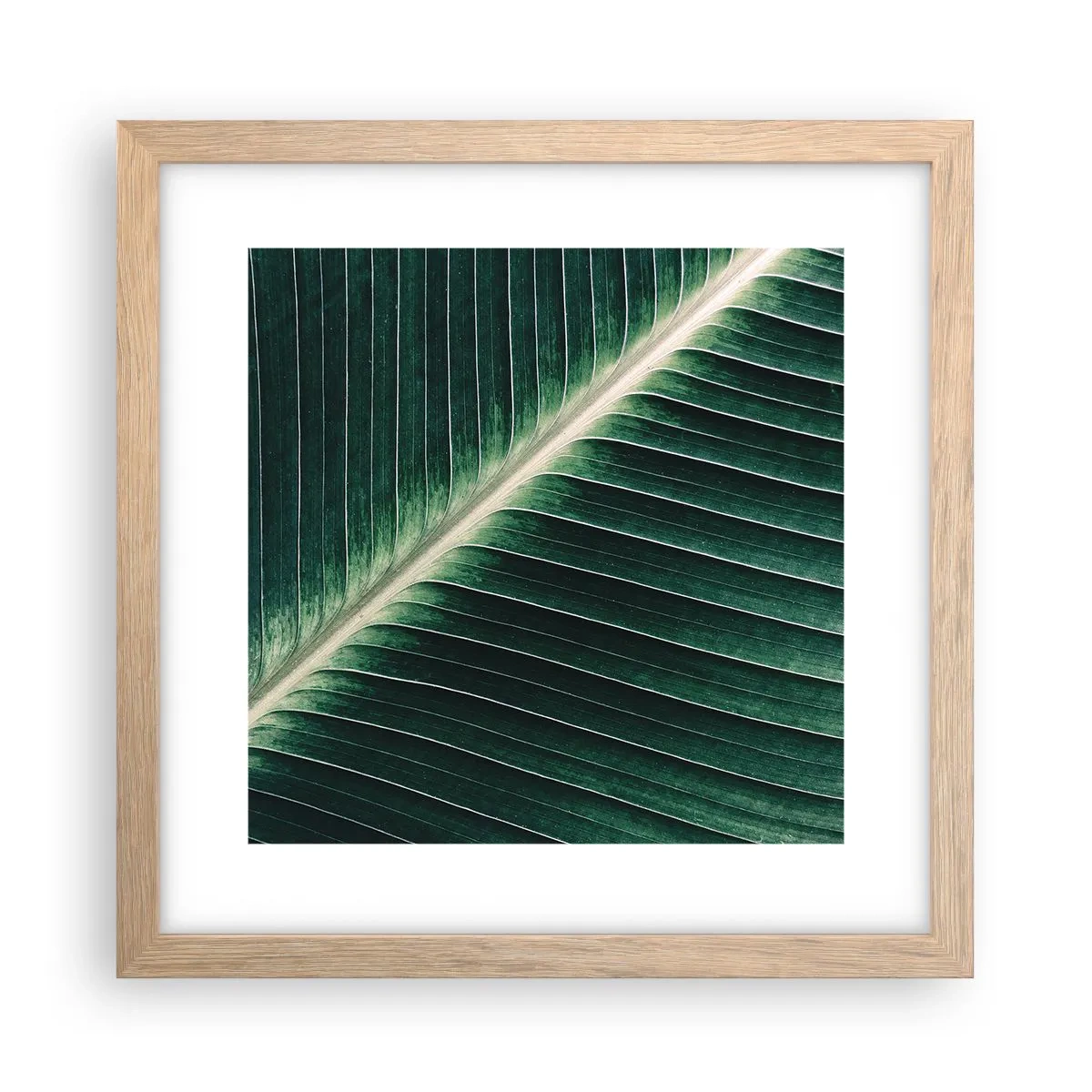 Affisch i ram av ljusek - Naturens rytm - 30x30 cm