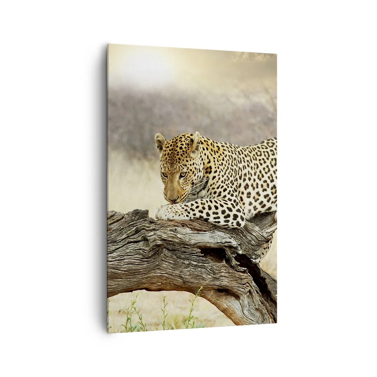 Canvastavla - Bild på duk - Jag går min egen väg - 80x120 cm