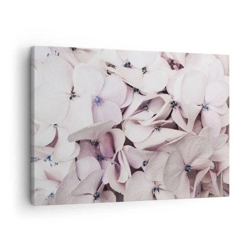 Canvastavla - Bild på duk - Fina vita hortensior i pastellfärger - 70x50cm - I en flod av blommor - Modern väggdekoration för vardagsrum och sovrum ARTTOR