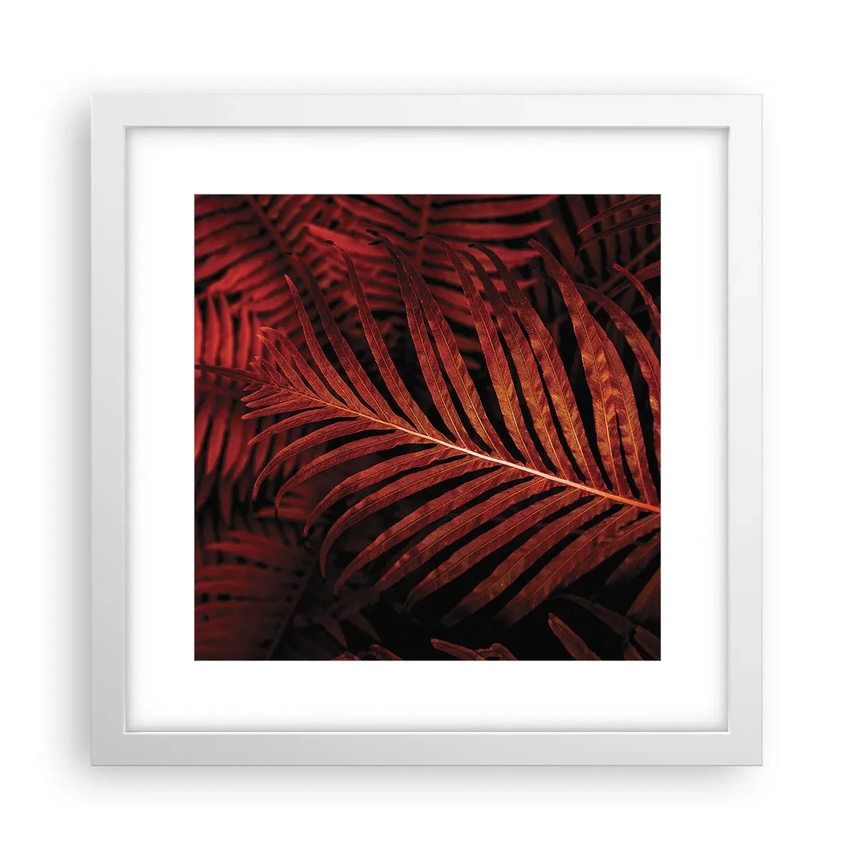 Affisch i vit ram - Livets glöd - 30x30 cm