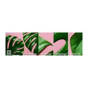 Provbit av självhäftande fototapet Deluxe Sticker - Grön rendez-vous - Monstera, Grönt löv, Exotisk planta - 100x30 cm