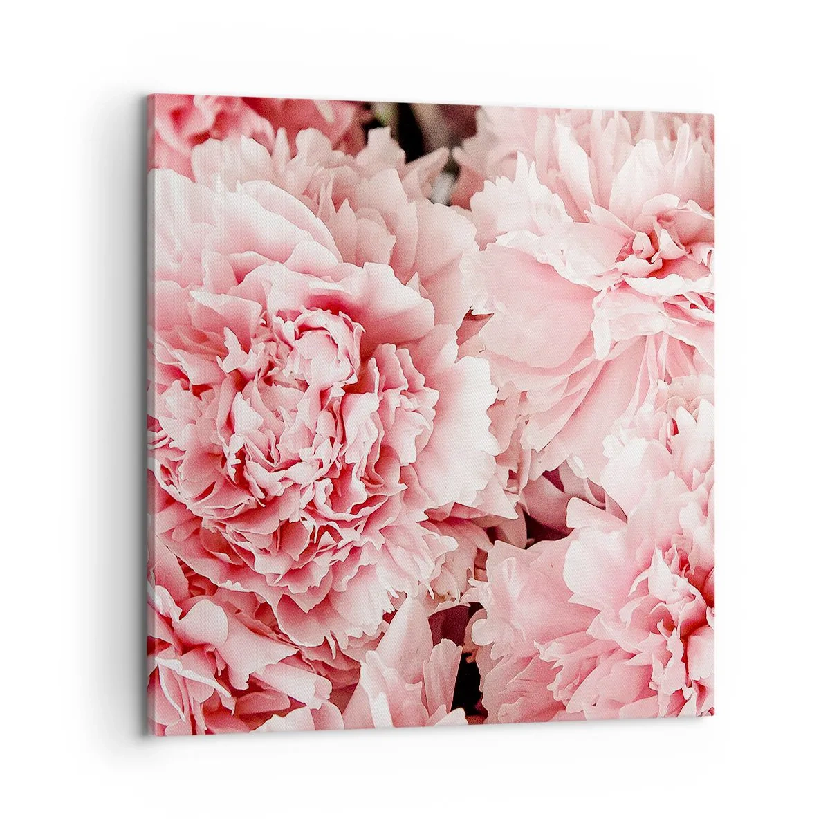 Canvastavla - Bild på duk - Rosa dröm - 60x60 cm
