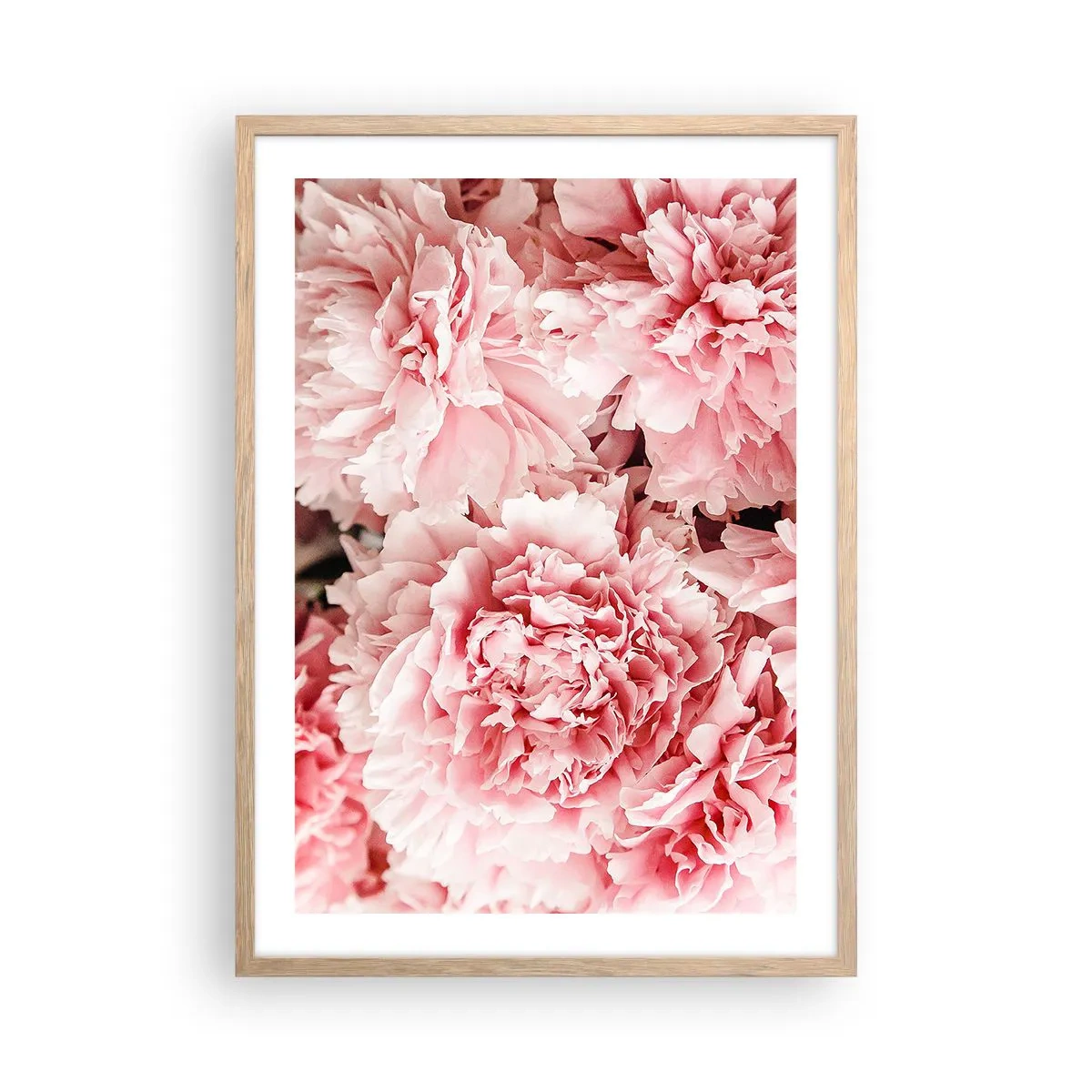 Affisch i ram av ljusek - Rosa dröm - 50x70 cm