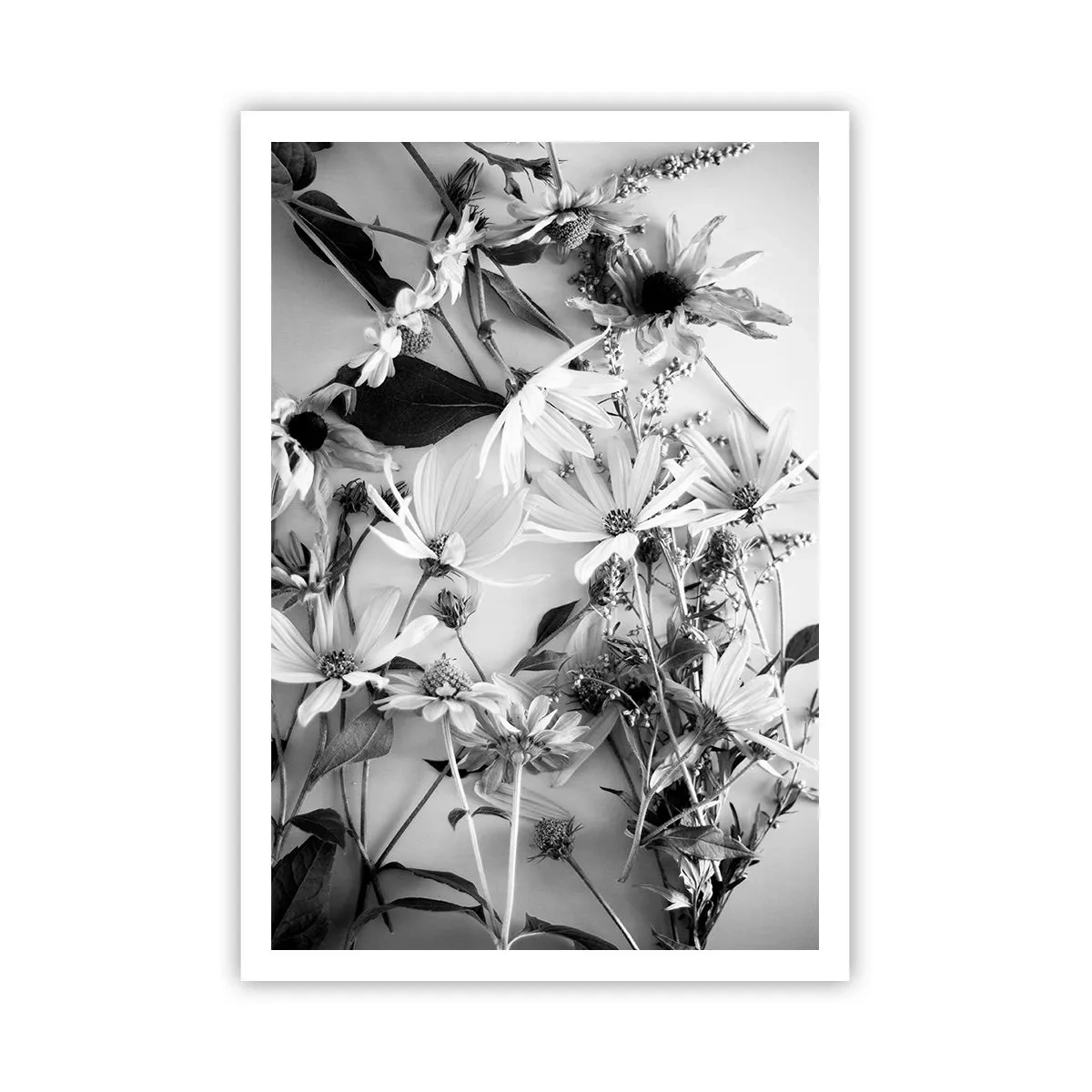 Affisch - Icke-blombukett - 70x100 cm