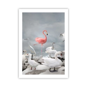 Affisch - Hur har jag hamnat här? - 50x70 cm