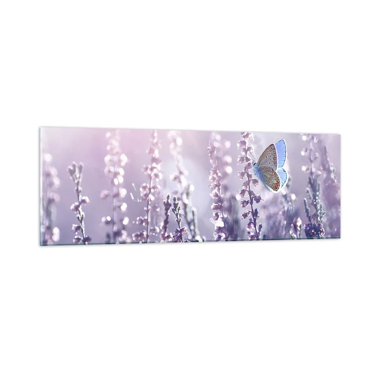 Glastavla - Bild på glas - En fjärils kyss - 90x30 cm