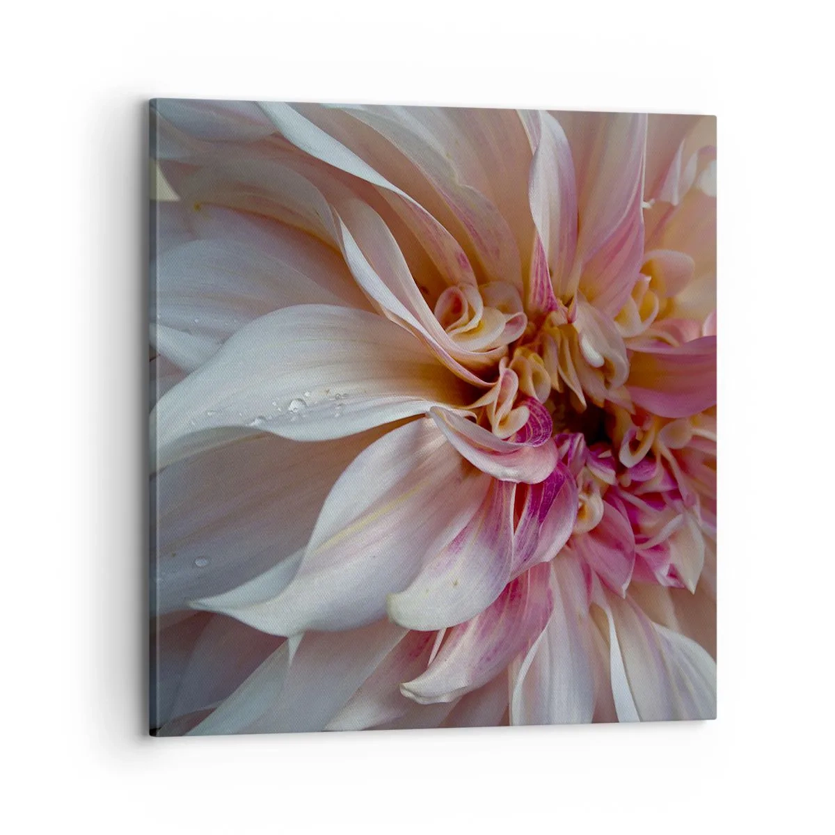 Canvastavla - Bild på duk - Blommande friskhet - 70x70 cm