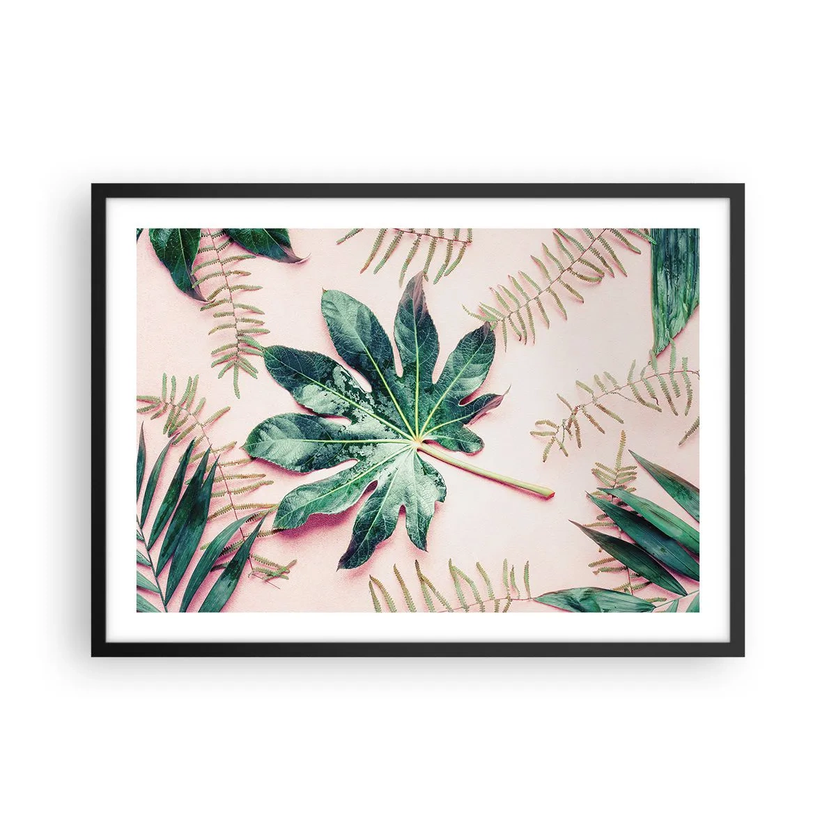 Affisch i svart ram - Grönskans studie mot rosa bakgrund - 70x50 cm