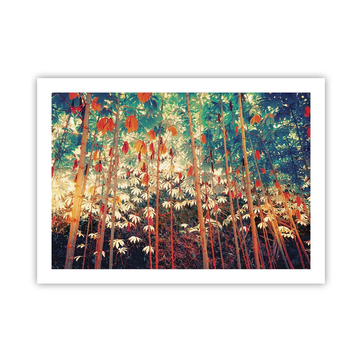 Affisch - Lövbladens hemlighetsfulla liv - 70x50 cm